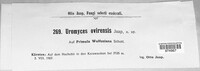 Image Associated With the Occurence